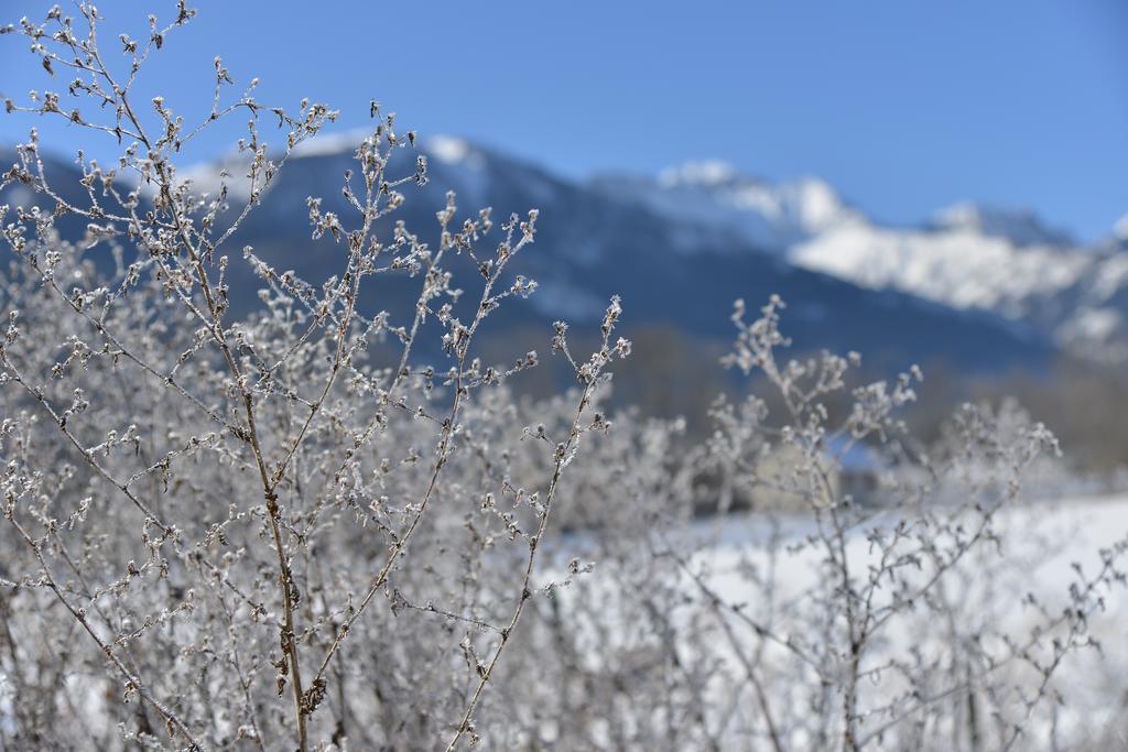 L'Escale En Ubaye Bed & Breakfast Saint-Pons  Room photo